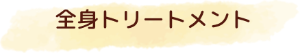全身トリートメント